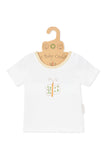 Cute like a Butterfly Short Sleeve Tee & Pant Set